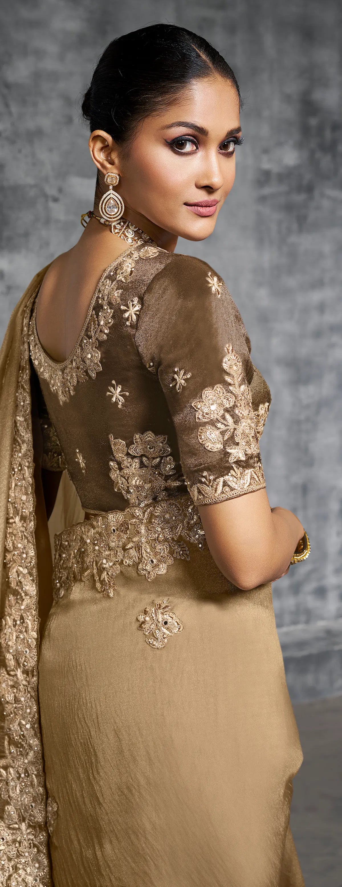 Dark Beige Zari Tissue Hand Work & Embroidery Saree