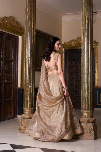 Dark Beige Crush Sequence & Thread Embroidery Lehenga Choli