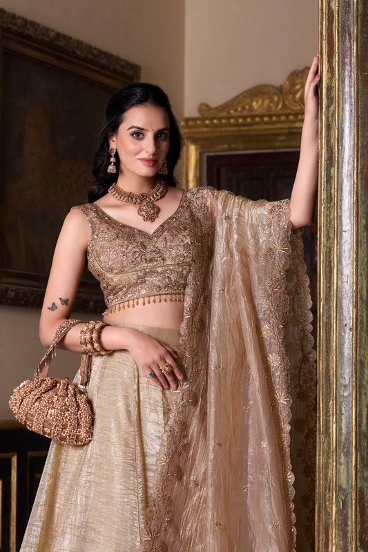 Dark Beige Crush Sequence & Thread Embroidery Lehenga Choli