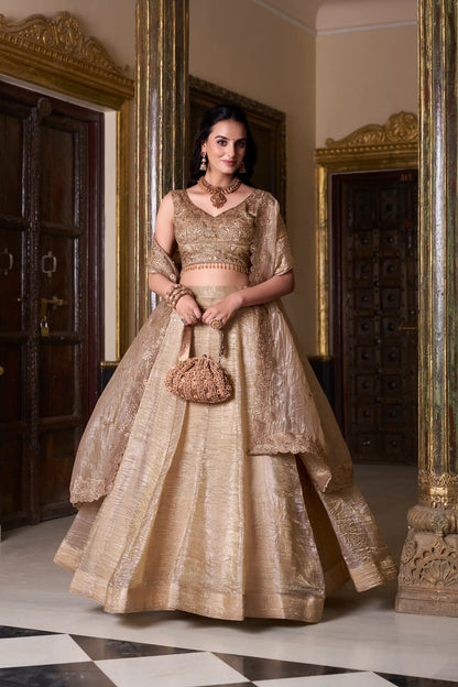 Dark Beige Crush Sequence & Thread Embroidery Lehenga Choli