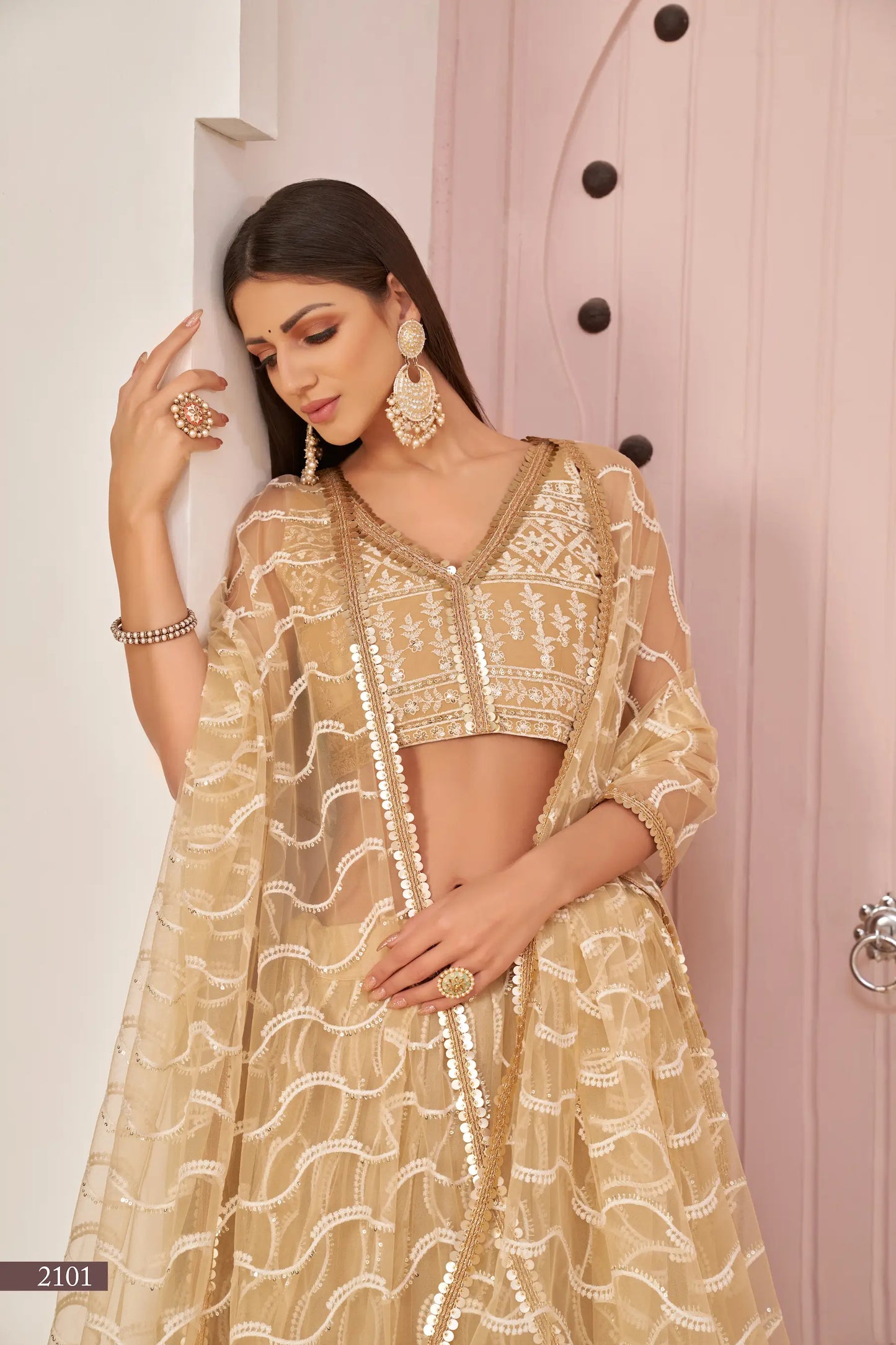 Dark Beige Net Lehenga Choli With White Cotton Thread Work, Zari Work & Sequence Work