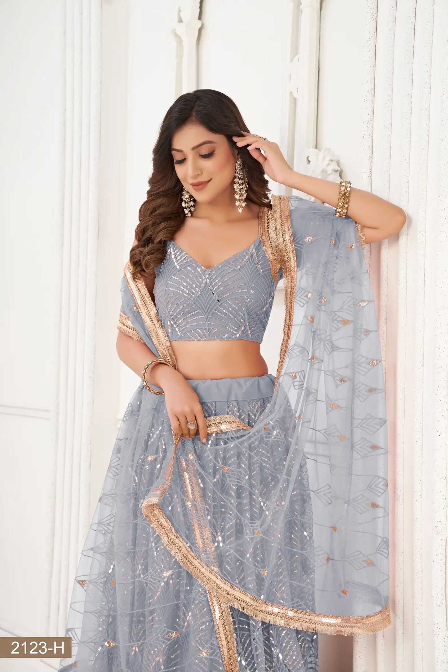 Light Grey Net Lehenga Choli With Thread Work, Mirror Work & Sequence Embroidery Work