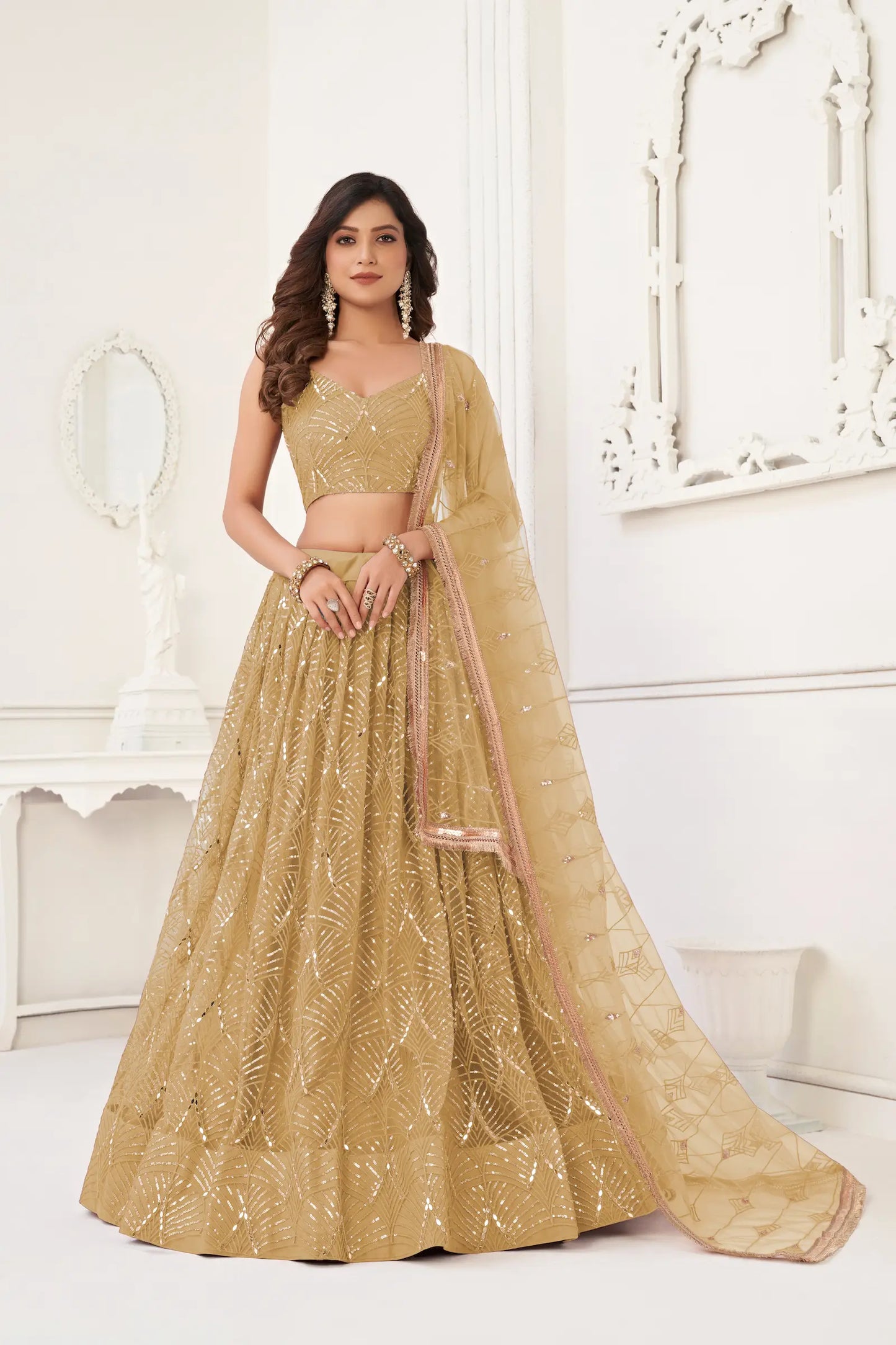 Dark Beige Net Lehenga Choli With Thread Work, Mirror Work & Sequence Embroidery Work