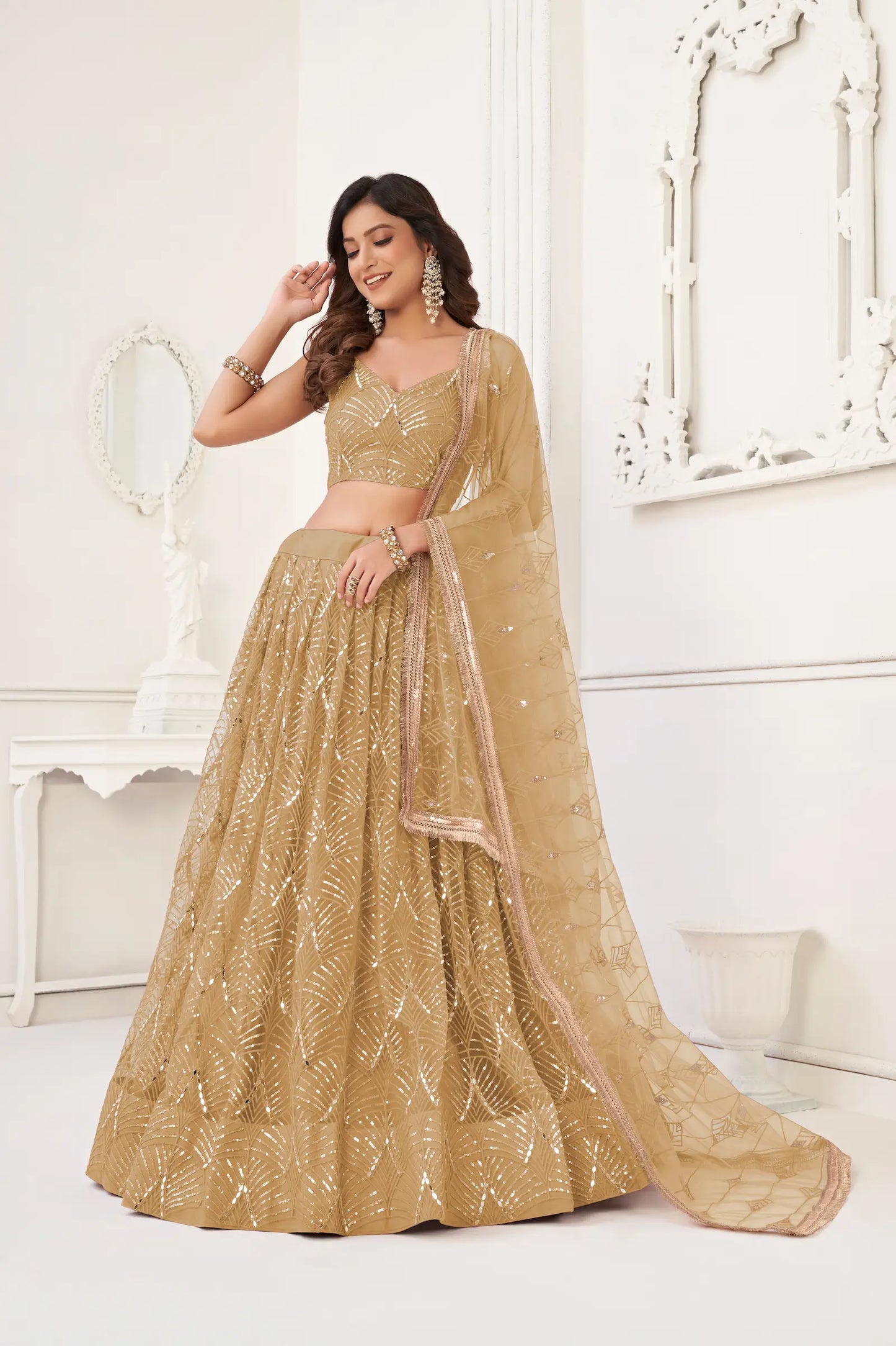 Dark Beige Net Lehenga Choli With Thread Work, Mirror Work & Sequence Embroidery Work