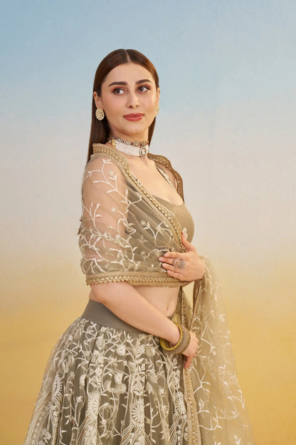 Dark Beige Net Lehenga Choli With Thread & Sequins Embroidery Work
