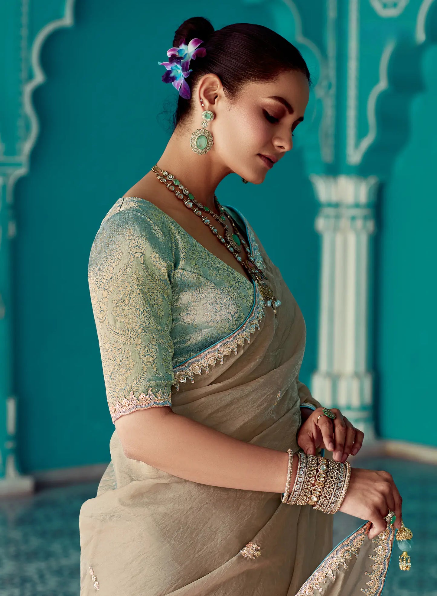 Shaded Dark Beige Organza Embroidery Work Party wear Saree