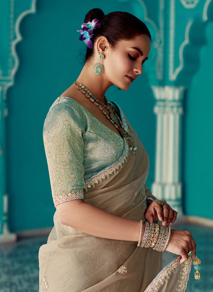 Shaded Dark Beige Organza Embroidery Work Party wear Saree