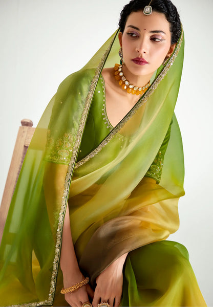 Olive Green-Multicolor Organza Embroidery Saree