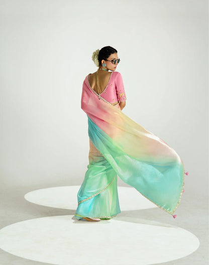 Salmon Pink-Multicolor Organza Embroidery Saree