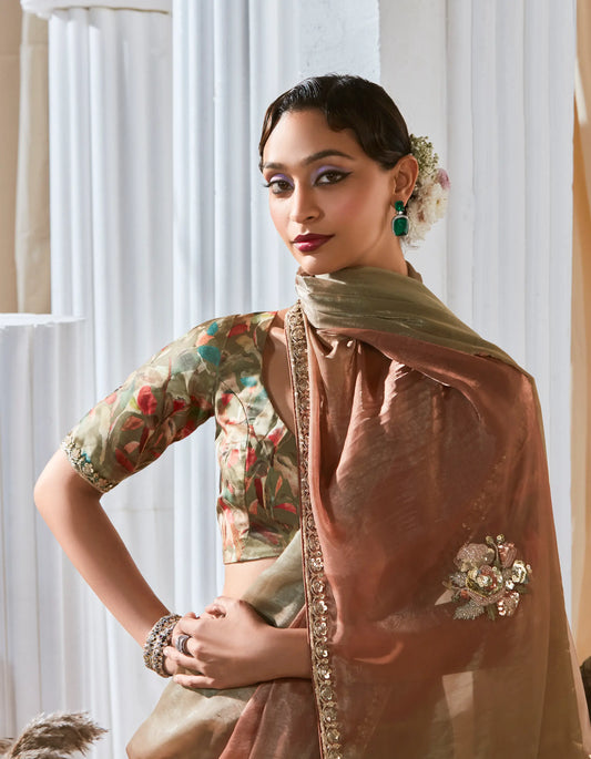 Olive-Brown Shaded Fancy Tissue Embroidery Work Saree