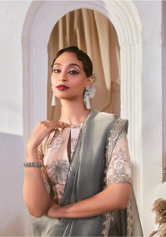 Grey Fancy Tissue Embroidery Work Saree