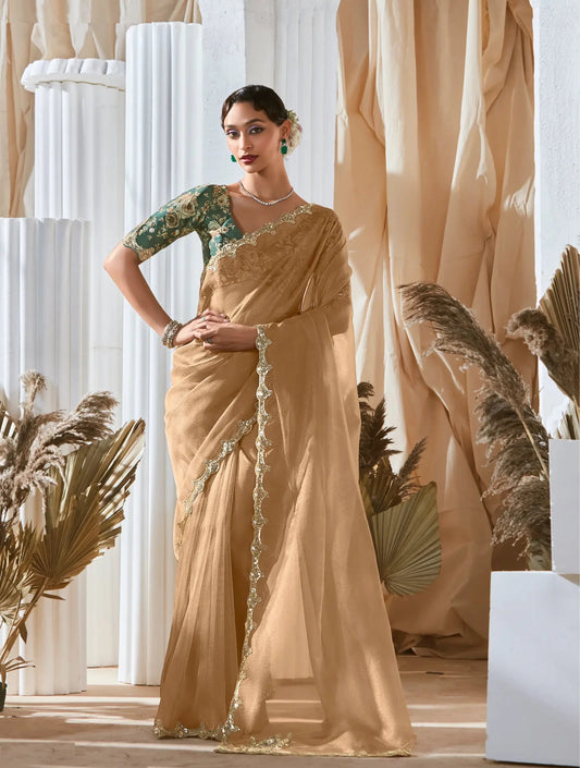 Sand Brown Fancy Tissue Embroidery Work Saree
