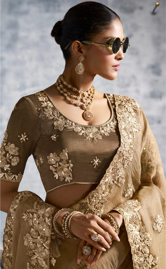 Dark Beige  Zari Tissue  Hand Work & Embroidery Saree
