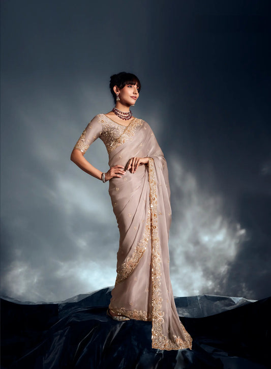Vanilla White Organza Tissue Khatli Work Saree