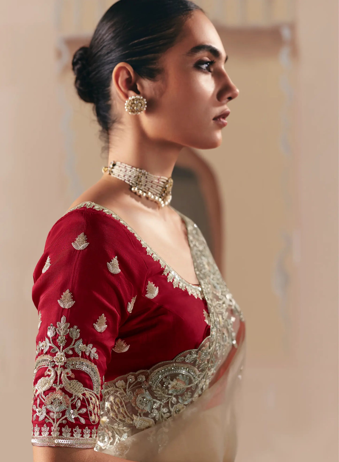 Sand Brown Fancy Embroidery & Stone Work Saree