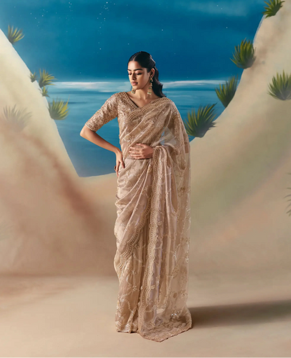 Pastel Brown Satin Organza Heavy Embroidery Saree