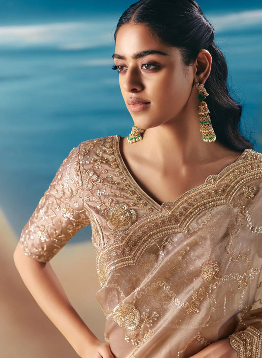 Pastel Brown Satin Organza Heavy Embroidery Saree