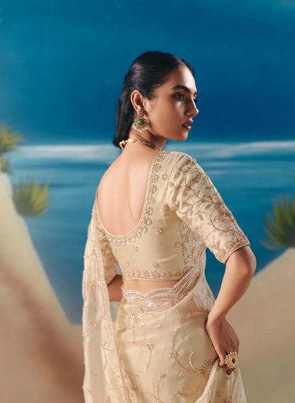 Champagne Satin Organza Heavy Embroidery Saree