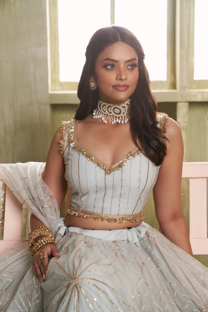 Light Grey Net Lehenga Choli With Cotton Thread Work & Sequence Embroidery Work