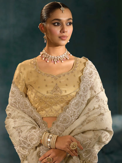 Almond Beige Heavy Embroidery & Hand Work Silk Saree