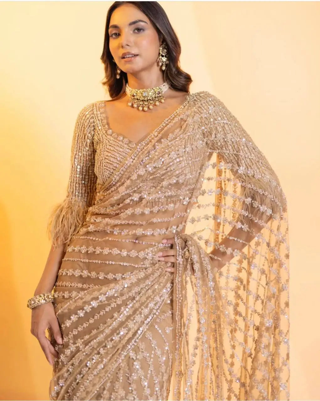 Beige Net Saree With Sequence & Thread Work