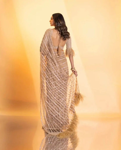 Beige Net Saree With Sequence & Thread Work