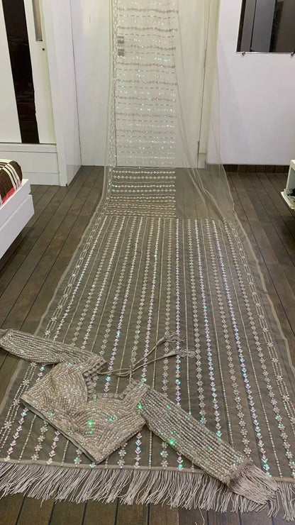 Beige Net Saree With Sequence & Thread Work