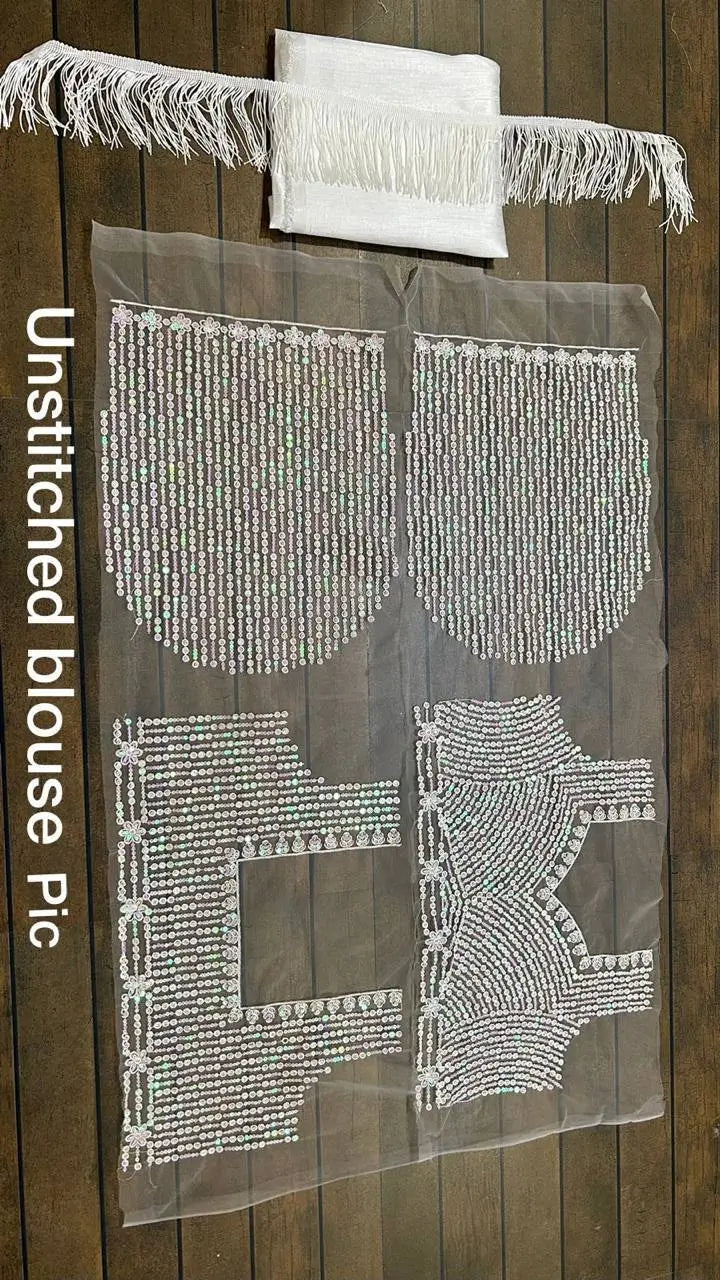 White Net Saree With Sequins & Thread Work