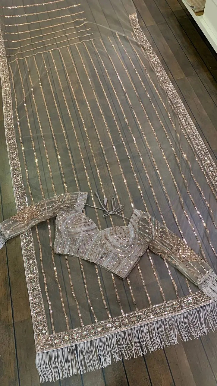 Dark Beige Net Saree With Sequins, Dori & Zari Work