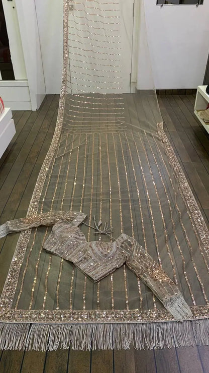 Dark Beige Net Saree With Sequins, Dori & Zari Work