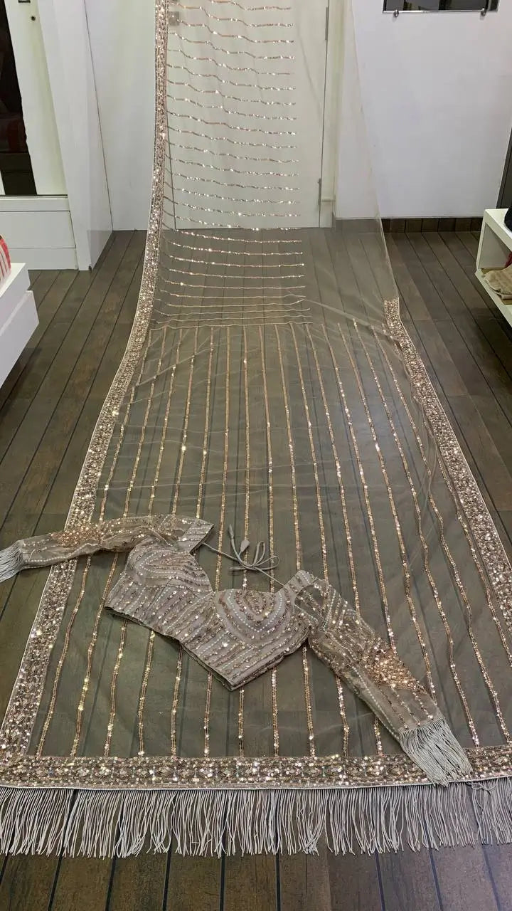 Dark Beige Net Saree With Sequins, Dori & Zari Work