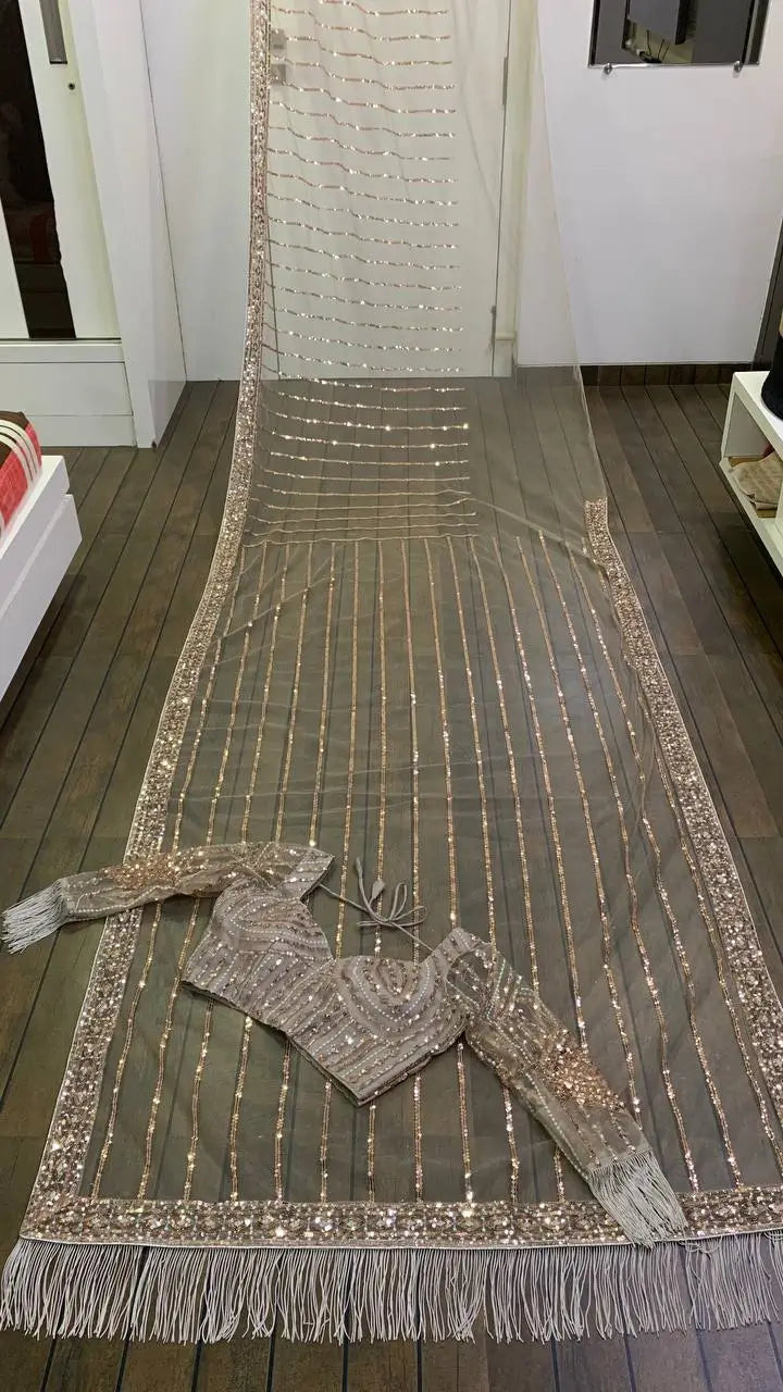 Dark Beige Net Saree With Sequins, Dori & Zari Work