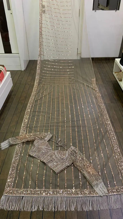 Dark Beige Net Saree With Sequins, Dori & Zari Work