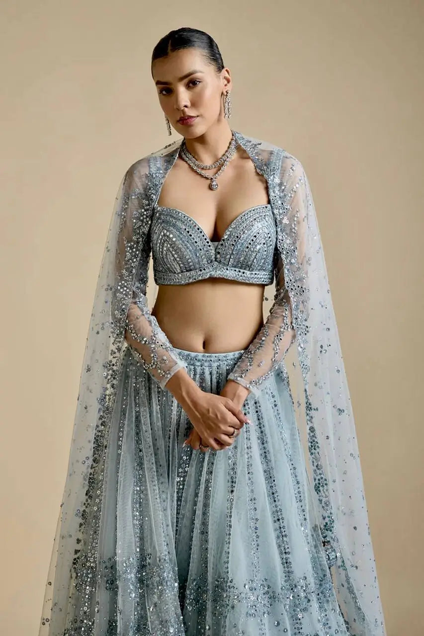 Sky Blue Net Sequence Work Lehenga Choli