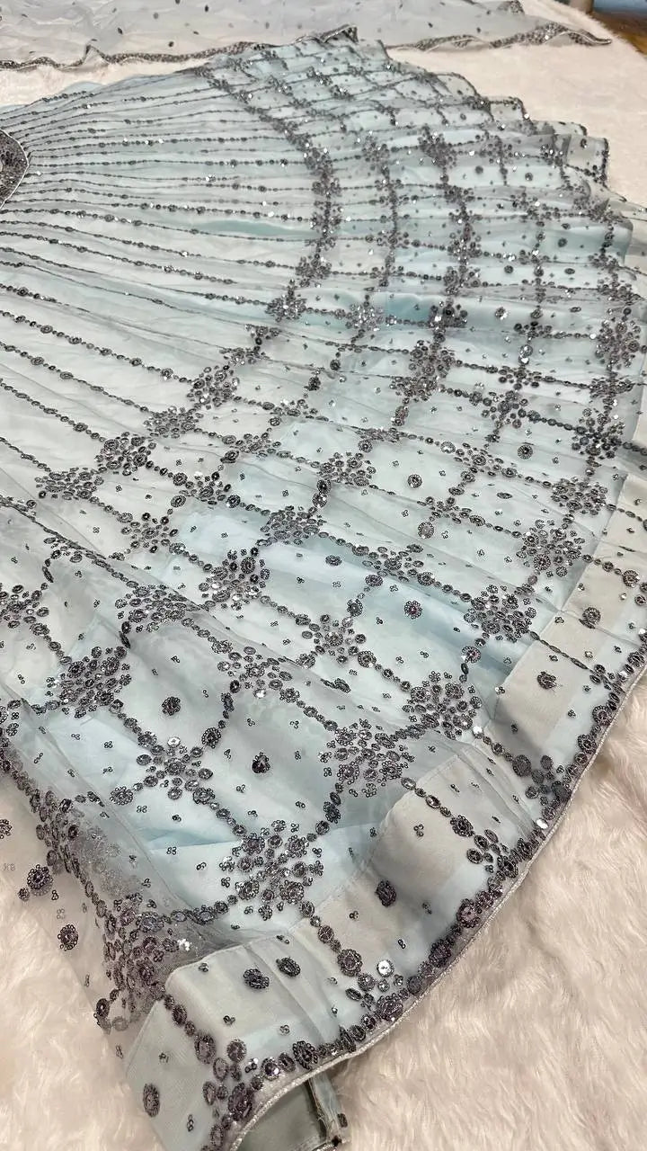 Sky Blue Net Sequence Work Lehenga Choli