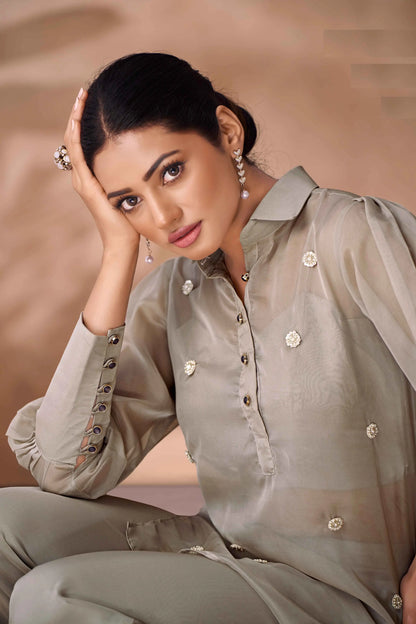 Greyish Beige Pure Organza Hand Work Designer Co-Ord Set