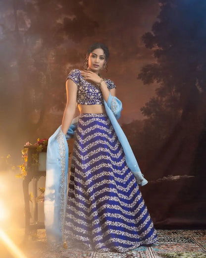 Navy Blue Chinnon Silk Lehenga With Coding Sequins And Embroidery Work