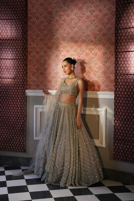 Beige Organza Lehenga With Zari Thread Heavy Sequins Embroidery Work
