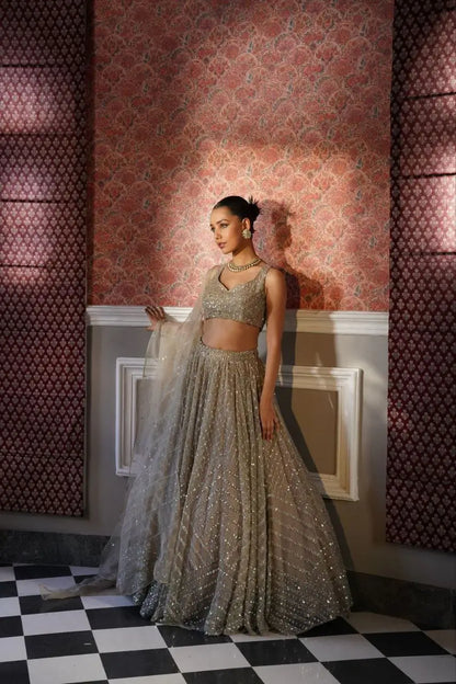 Beige Organza Lehenga With Zari Thread Heavy Sequins Embroidery Work