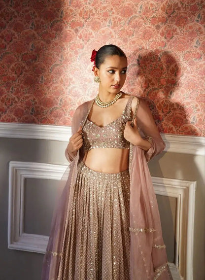 Rosy Brown Georgette Lehenga With Zari Heavy Sequins Work