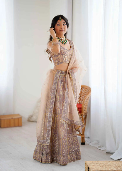 Brownish Ivory Embroidery Work With Heavy Sequins Work Lehenga Choli