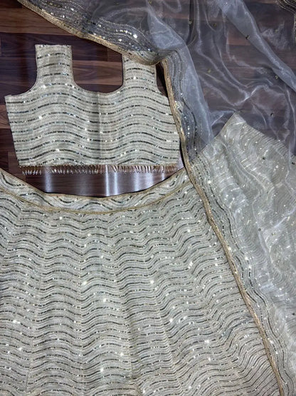 Ivory Cream Organza Lehenga With Beautiful Coding And Sequins Embroidery Work