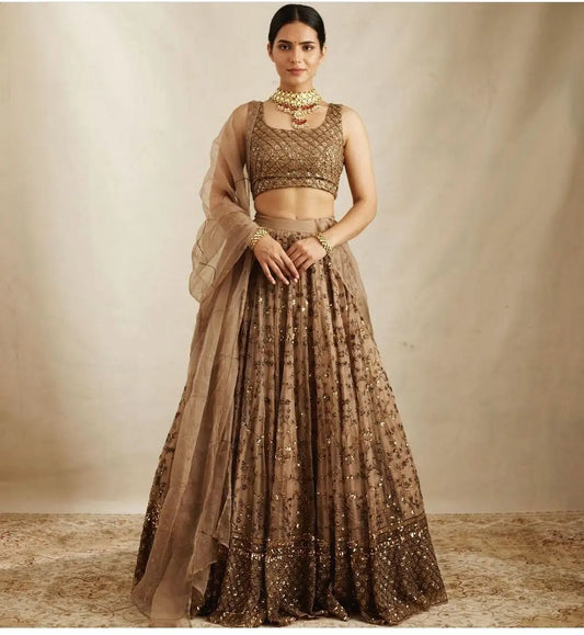 Light Brown Net Lehenga With Heavy Sequins Embroidery Work
