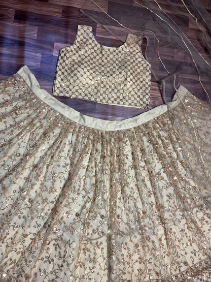 Light Brown Net Lehenga With Heavy Sequins Embroidery Work